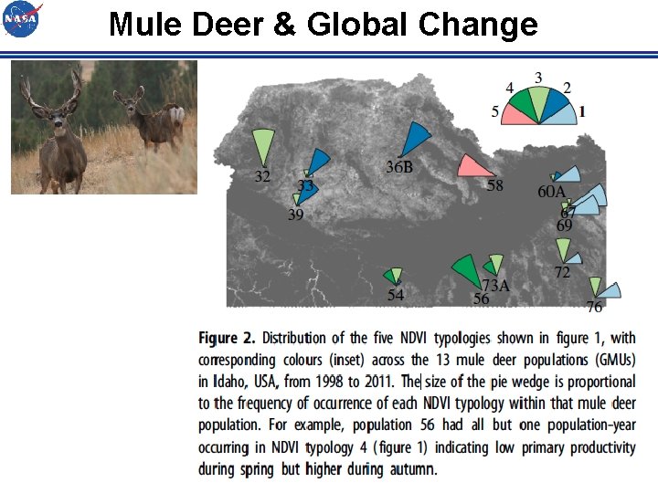Mule Deer & Global Change 
