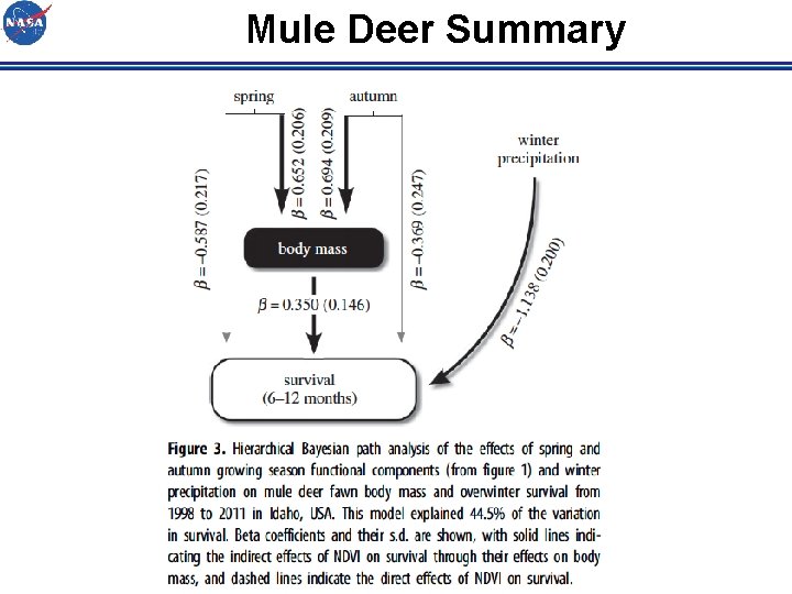 Mule Deer Summary 