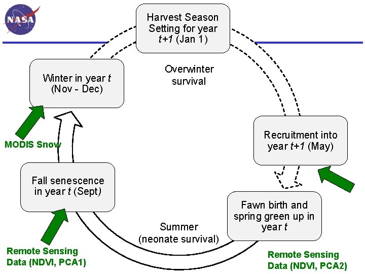 Harvest Season Setting for year t+1 (Jan 1) Winter in year t (Nov -