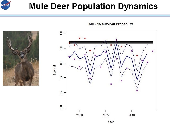 Mule Deer Population Dynamics 