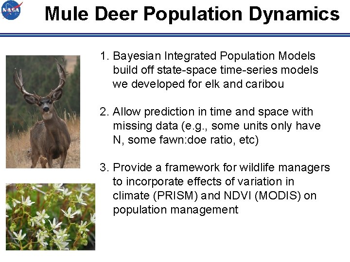 Mule Deer Population Dynamics 1. Bayesian Integrated Population Models build off state-space time-series models