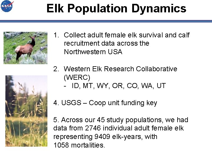 Elk Population Dynamics 1. Collect adult female elk survival and calf recruitment data across