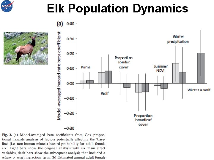 Elk Population Dynamics 