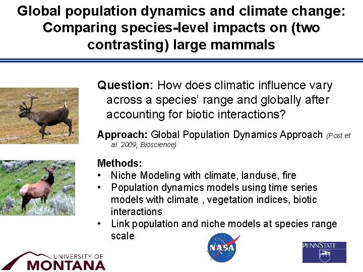 Global population dynamics and climate change: Comparing species-level impacts on (two contrasting) large mammals