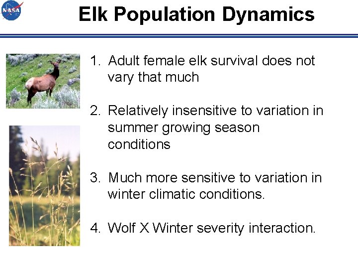 Elk Population Dynamics 1. Adult female elk survival does not vary that much 2.