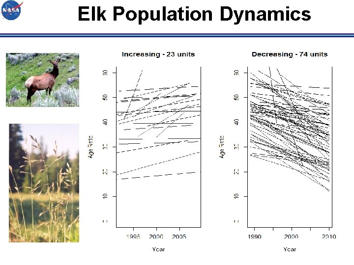 Elk Population Dynamics 