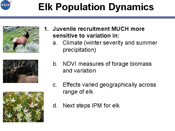 Elk Population Dynamics 1. Juvenile recruitment MUCH more sensitive to variation in: a. Climate