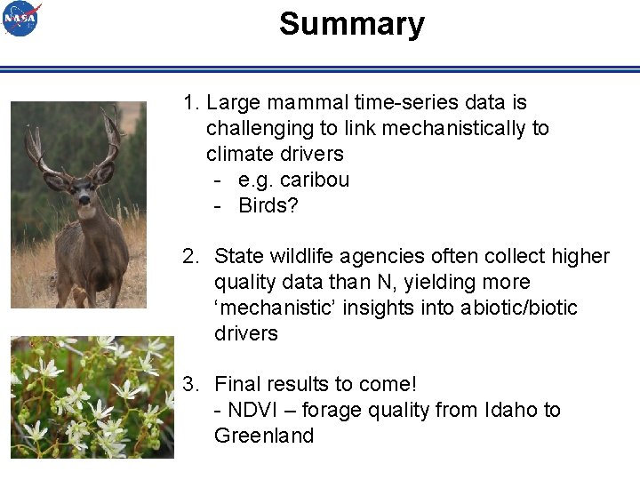 Summary 1. Large mammal time-series data is challenging to link mechanistically to climate drivers