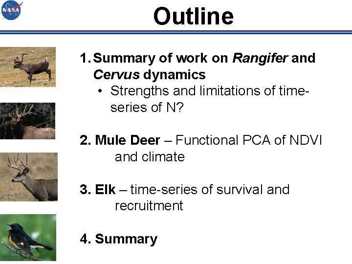 Outline 1. Summary of work on Rangifer and Cervus dynamics • Strengths and limitations