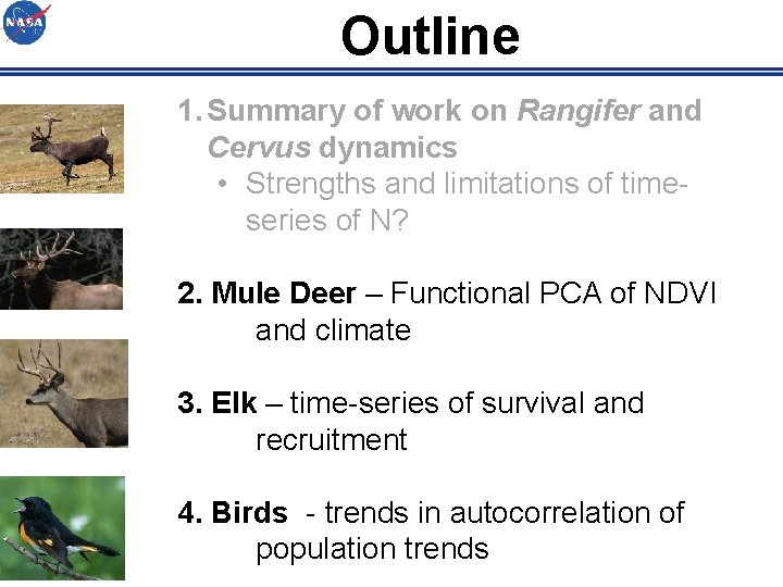 Outline 1. Summary of work on Rangifer and Cervus dynamics • Strengths and limitations