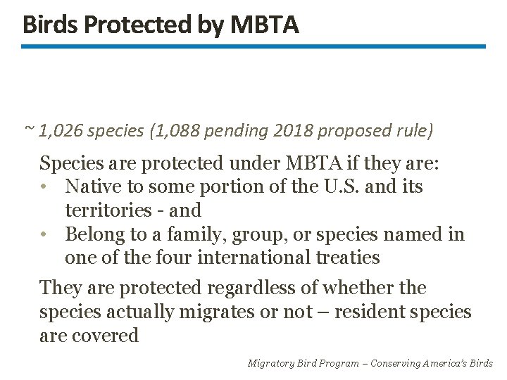 Birds Protected by MBTA ~ 1, 026 species (1, 088 pending 2018 proposed rule)