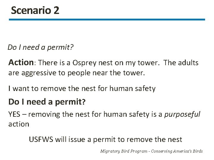 Scenario 2 Do I need a permit? Action: There is a Osprey nest on