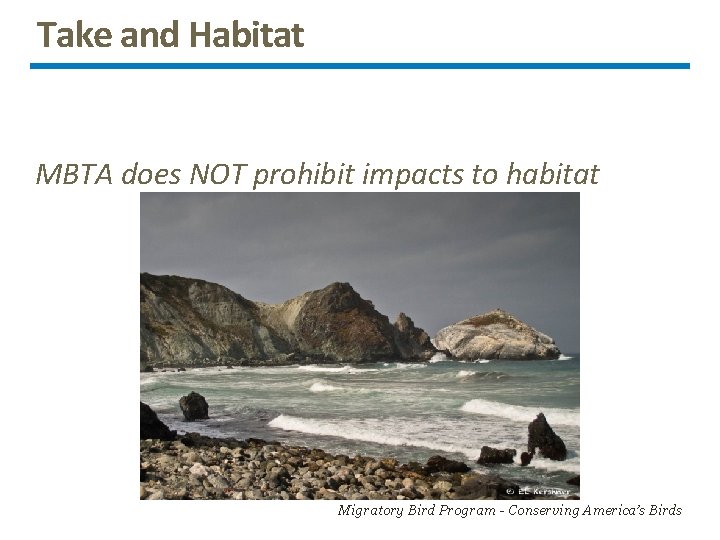 Take and Habitat MBTA does NOT prohibit impacts to habitat Migratory Bird Program -