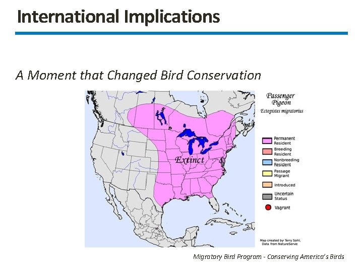 International Implications A Moment that Changed Bird Conservation Migratory Bird Program - Conserving America’s