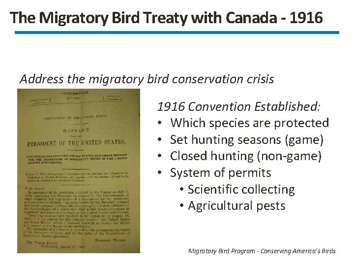 The Migratory Bird Treaty with Canada - 1916 Address the migratory bird conservation crisis