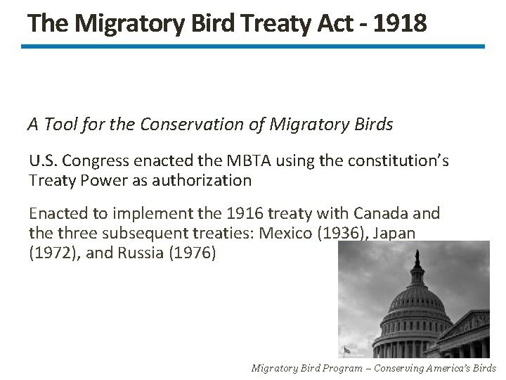 The Migratory Bird Treaty Act - 1918 A Tool for the Conservation of Migratory