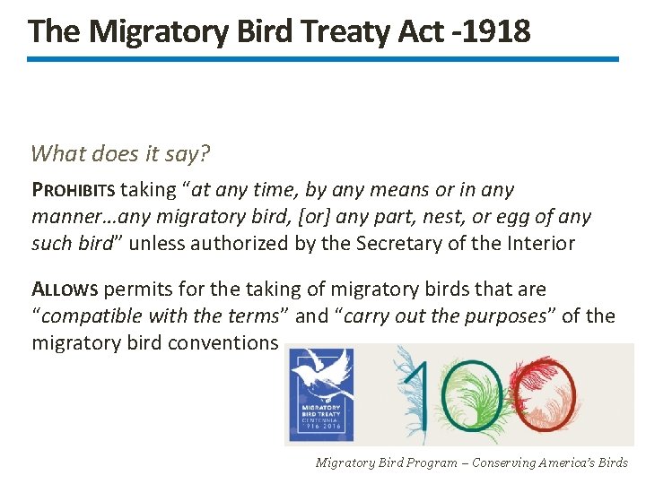 The Migratory Bird Treaty Act -1918 What does it say? PROHIBITS taking “at any
