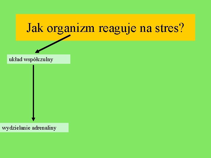 Jak organizm reaguje na stres? układ współczulny wydzielanie adrenaliny 