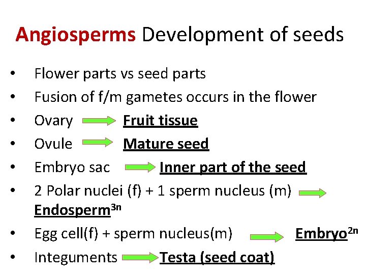 Angiosperms Development of seeds • • Flower parts vs seed parts Fusion of f/m