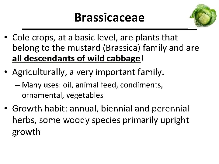 Brassicaceae • Cole crops, at a basic level, are plants that belong to the