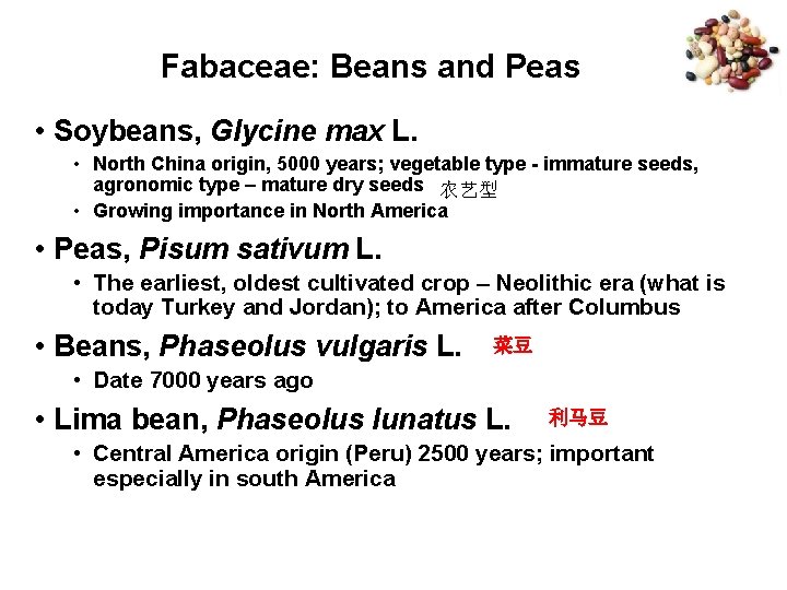 Fabaceae: Beans and Peas • Soybeans, Glycine max L. • North China origin, 5000