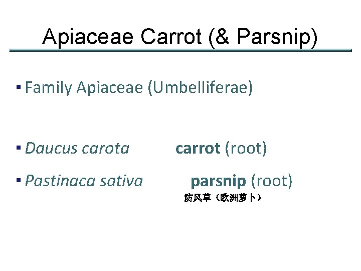 Apiaceae Carrot (& Parsnip) ▪ Family Apiaceae (Umbelliferae) ▪ Daucus carota ▪ Pastinaca sativa