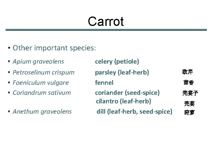 Carrot ▪ Other important species: ▪ Apium graveolens celery (petiole) ▪ Petroselinum crispum ▪