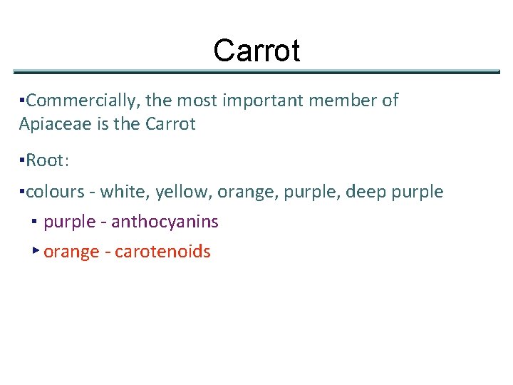 Carrot ▪Commercially, the most important member of Apiaceae is the Carrot ▪Root: ▪colours -