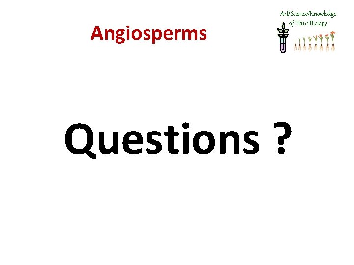 Angiosperms Art/Science/Knowledge of Plant Biology Questions ? 