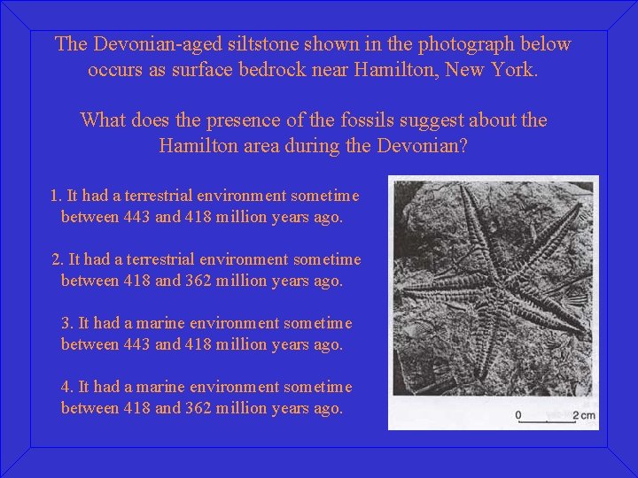 The Devonian-aged siltstone shown in the photograph below occurs as surface bedrock near Hamilton,