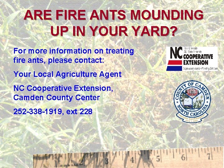 ARE FIRE ANTS MOUNDING UP IN YOUR YARD? For more information on treating fire