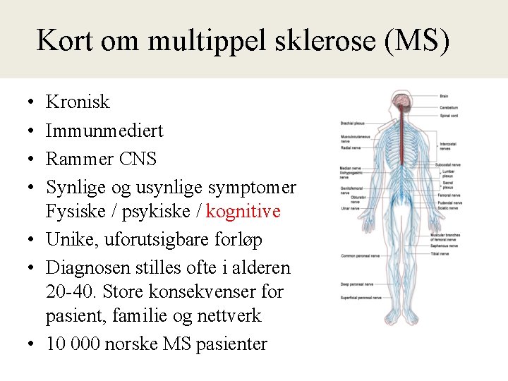 Kort om multippel sklerose (MS) • • Kronisk Immunmediert Rammer CNS Synlige og usynlige