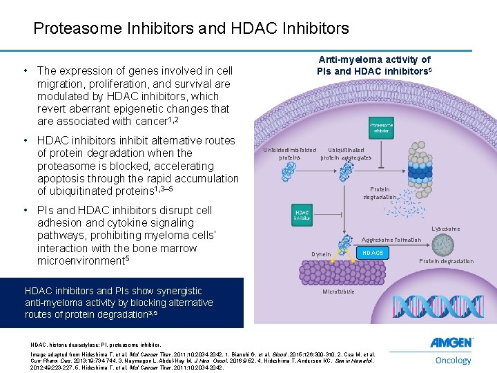 Proteasome Inhibitors and HDAC Inhibitors • The expression of genes involved in cell migration,