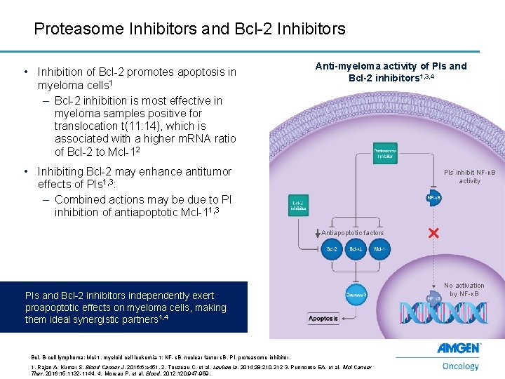 Proteasome Inhibitors and Bcl-2 Inhibitors • Inhibition of Bcl-2 promotes apoptosis in myeloma cells