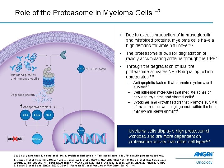Role of the Proteasome in Myeloma Cells 1– 7 NF-κB is active Misfolded proteins