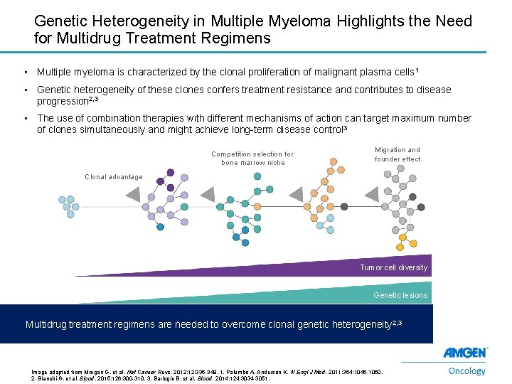 Genetic Heterogeneity in Multiple Myeloma Highlights the Need for Multidrug Treatment Regimens • Multiple