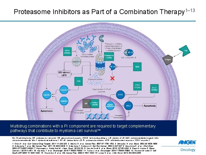 Proteasome Inhibitors as Part of a Combination Therapy 1– 13 Multidrug combinations with a
