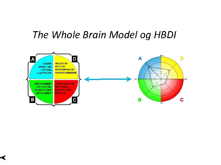The Whole Brain Model og HBDI 