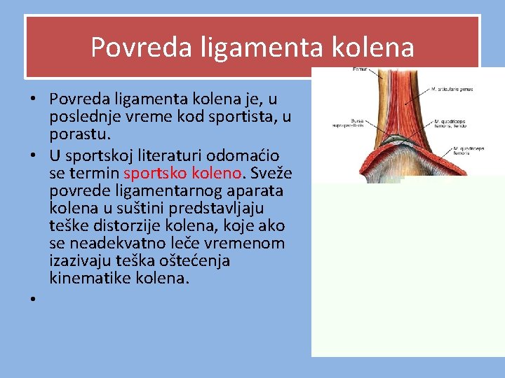 Povreda ligamenta kolena • Povreda ligamenta kolena je, u poslednje vreme kod sportista, u Povreda ligamenta kolena • Povreda ligamenta kolena je, u poslednje vreme kod sportista, u