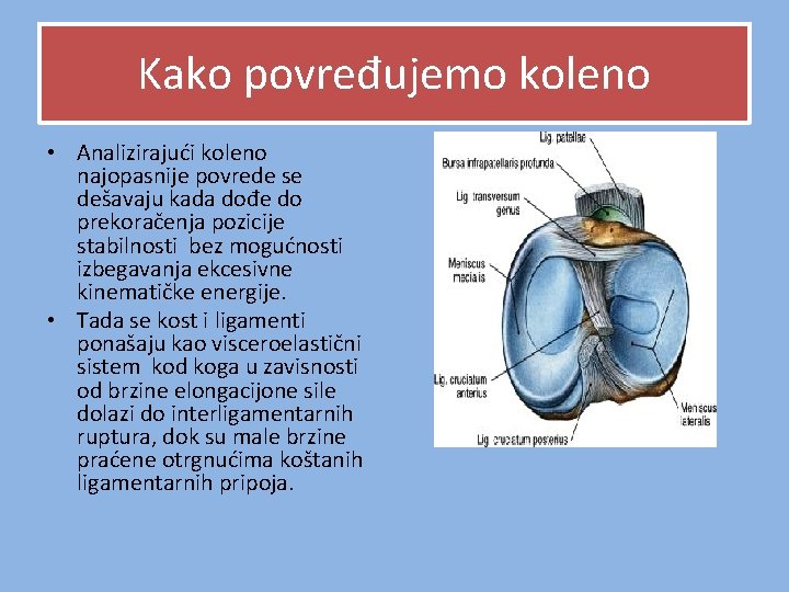 Kako povređujemo koleno • Analizirajući koleno najopasnije povrede se dešavaju kada dođe do prekoračenja Kako povređujemo koleno • Analizirajući koleno najopasnije povrede se dešavaju kada dođe do prekoračenja