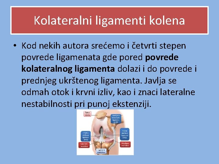 Kolateralni ligamenti kolena • Kod nekih autora srećemo i četvrti stepen povrede ligamenata gde Kolateralni ligamenti kolena • Kod nekih autora srećemo i četvrti stepen povrede ligamenata gde