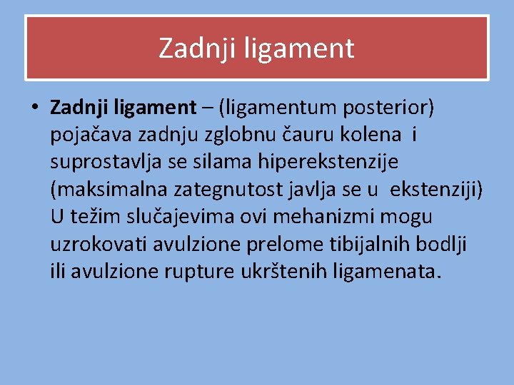 Zadnji ligament • Zadnji ligament – (ligamentum posterior) pojačava zadnju zglobnu čauru kolena i Zadnji ligament • Zadnji ligament – (ligamentum posterior) pojačava zadnju zglobnu čauru kolena i