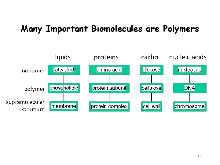 Many Important Biomolecules are Polymers lipids proteins carbo nucleic acids monomer polymer supramolecular structure