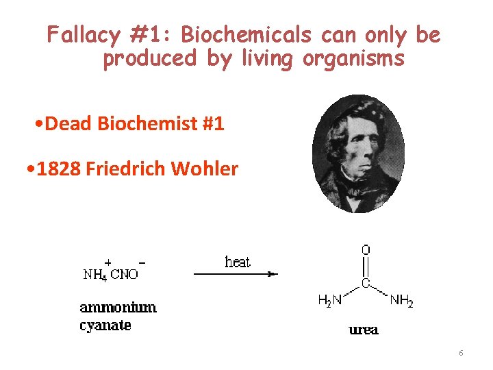 Fallacy #1: Biochemicals can only be produced by living organisms • Dead Biochemist #1