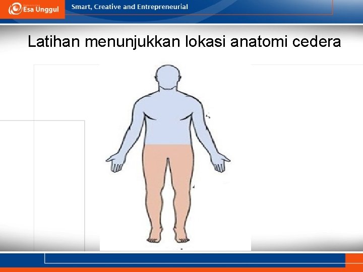 Latihan menunjukkan lokasi anatomi cedera 