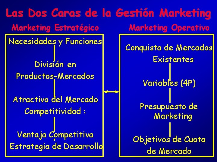 Las Dos Caras de la Gestión Marketing Estratégico Necesidades y Funciones División en Productos-Mercados