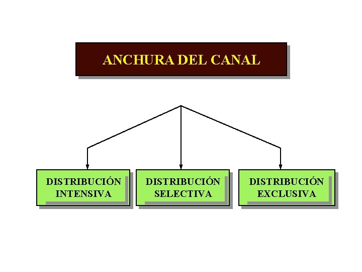 ANCHURA DEL CANAL DISTRIBUCIÓN INTENSIVA DISTRIBUCIÓN SELECTIVA DISTRIBUCIÓN EXCLUSIVA 