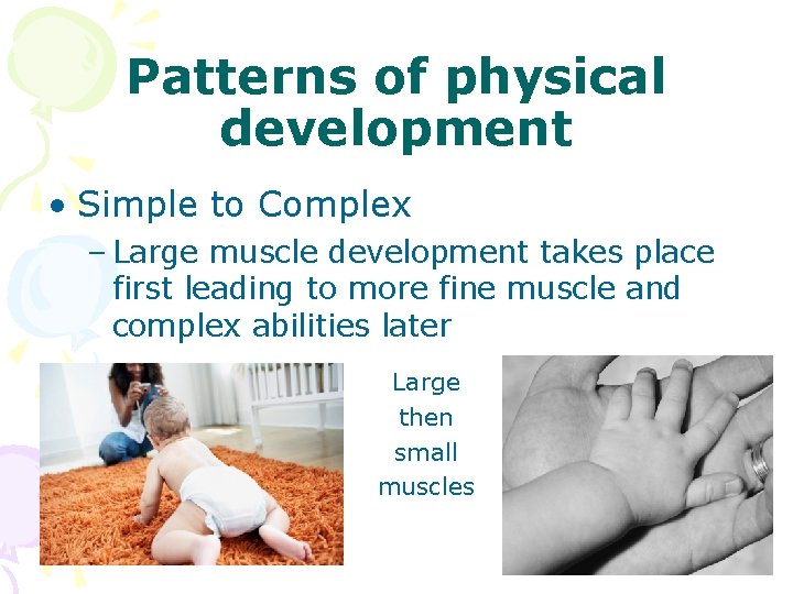 Patterns of physical development • Simple to Complex – Large muscle development takes place