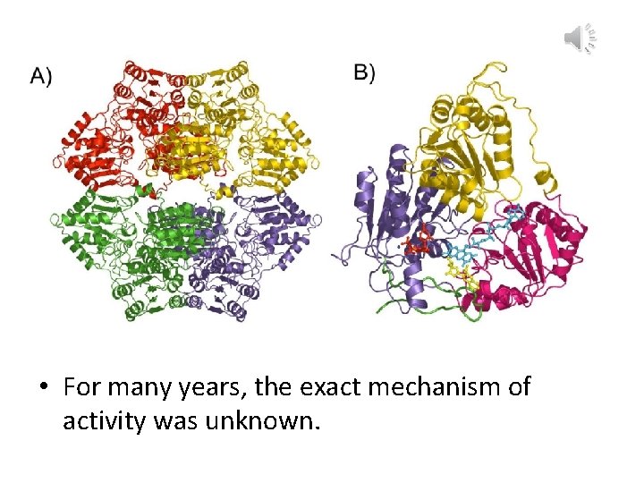  • For many years, the exact mechanism of activity was unknown. 