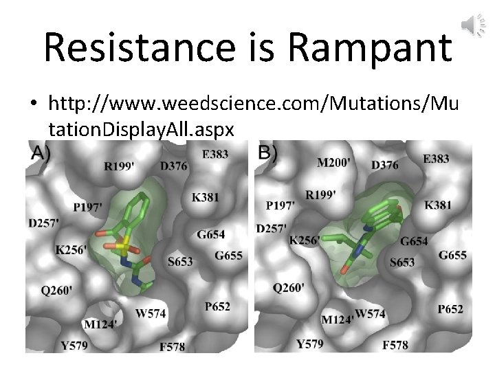 Resistance is Rampant • http: //www. weedscience. com/Mutations/Mu tation. Display. All. aspx 